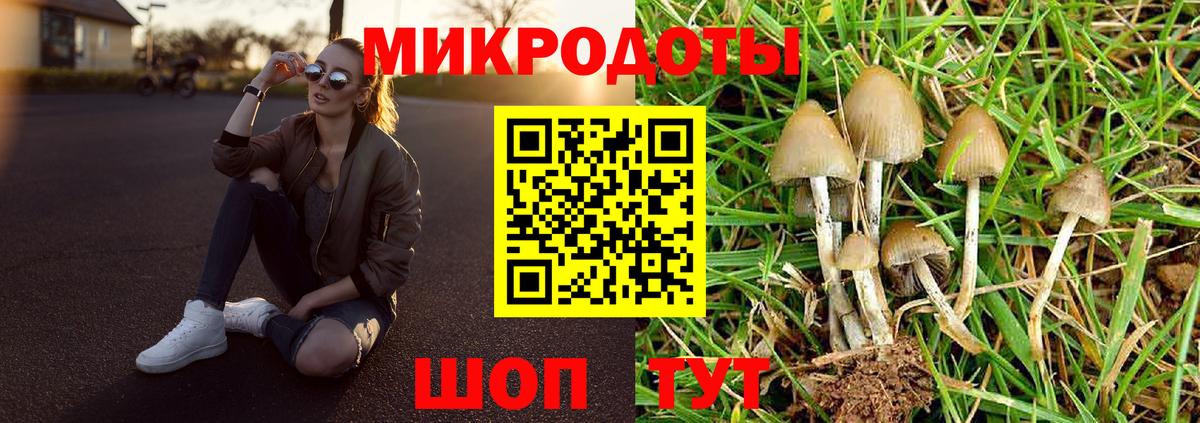 Галлюциногенные грибы мицелий  Вход с VPN  Лобня 